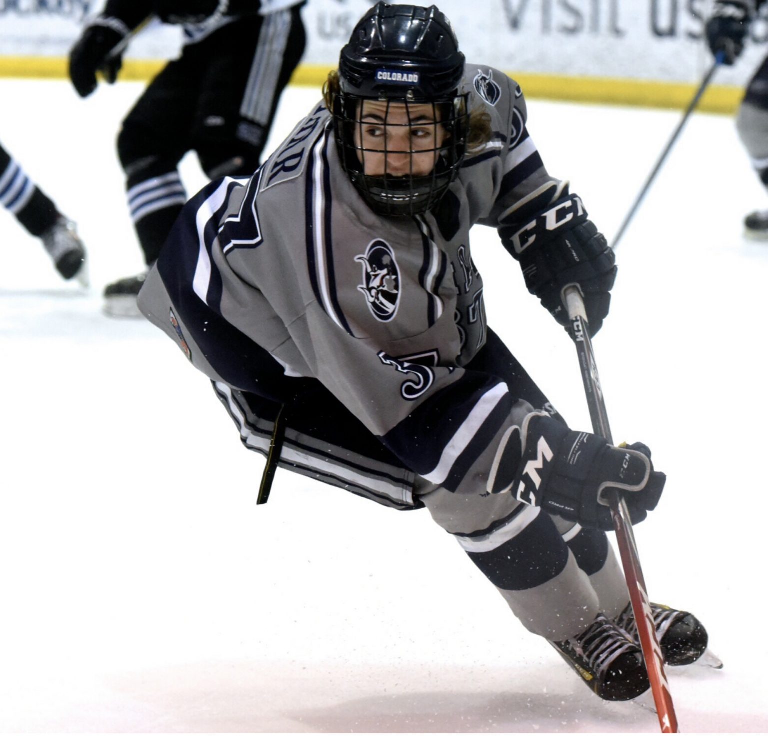 Hockey Performance Nutrition Hockey Nutrition For Elite Hockey Players